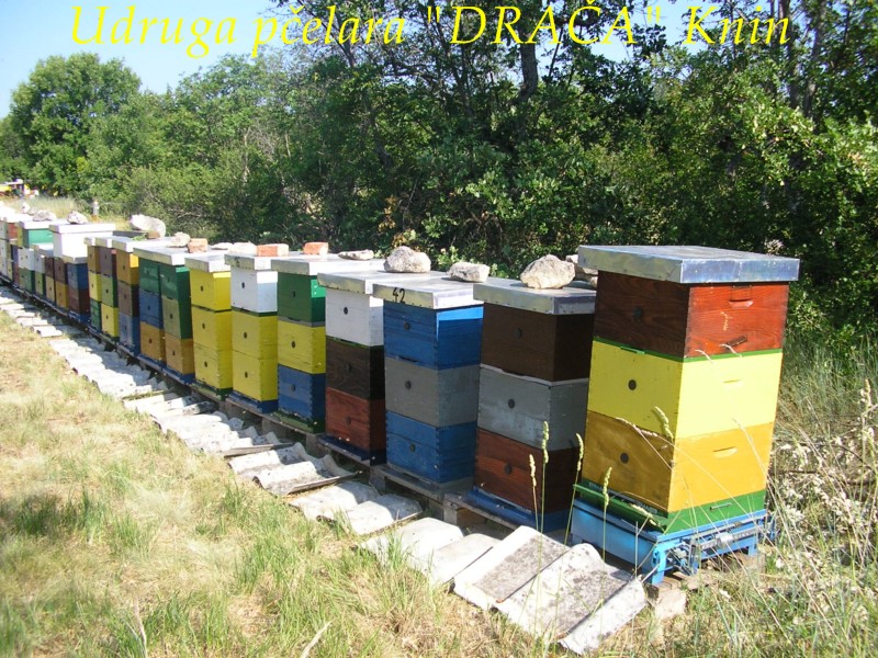 UP_Draca_Knin (10)